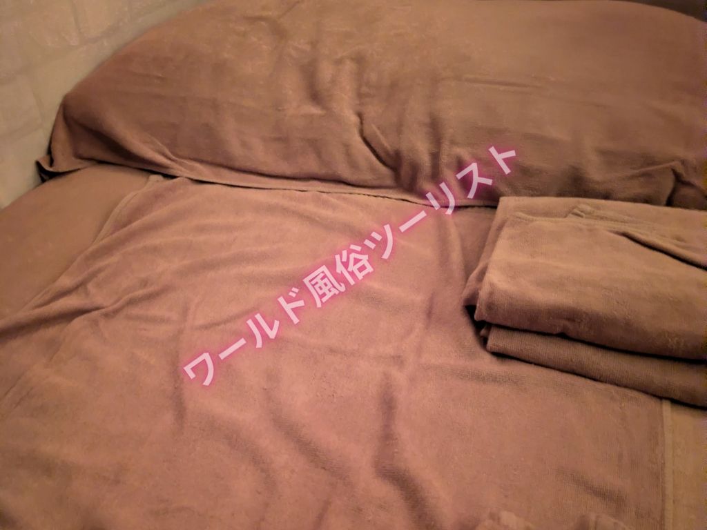実体験！名古屋の裏風俗でチサンマンションの風俗は本番アリでしかも生！？