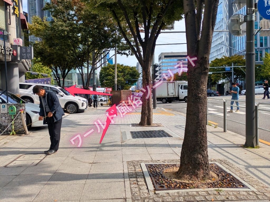 覚えよう!DAOの場所や行き方