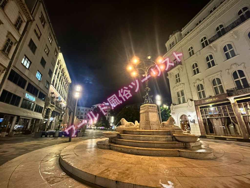 ブダペストの夜遊びでたちんぼの場所や料金、様子について